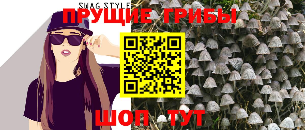 Саранск  Псилоцибиновые грибы мицелий  Псилоцибиновые грибы GOLDEN TEACHER  Вход с VPN 
